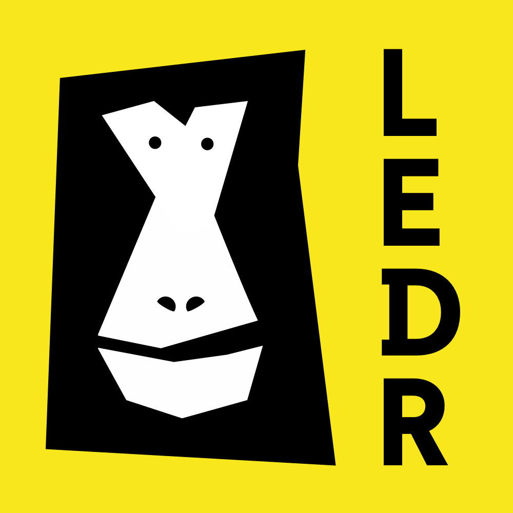 LEDR